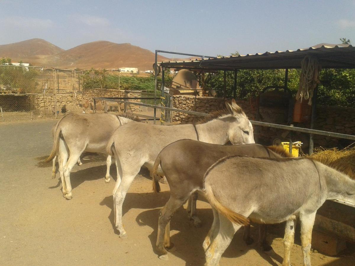 Agroturismo La Gayria Tiscamanita Buitenkant foto