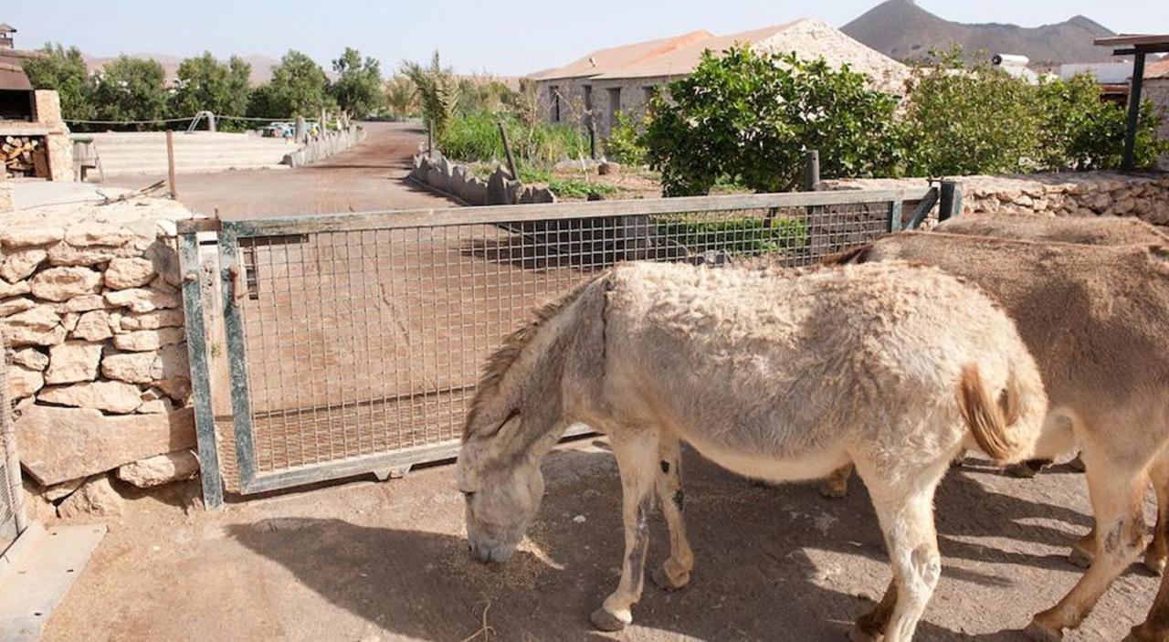 Agroturismo La Gayria Tiscamanita Buitenkant foto